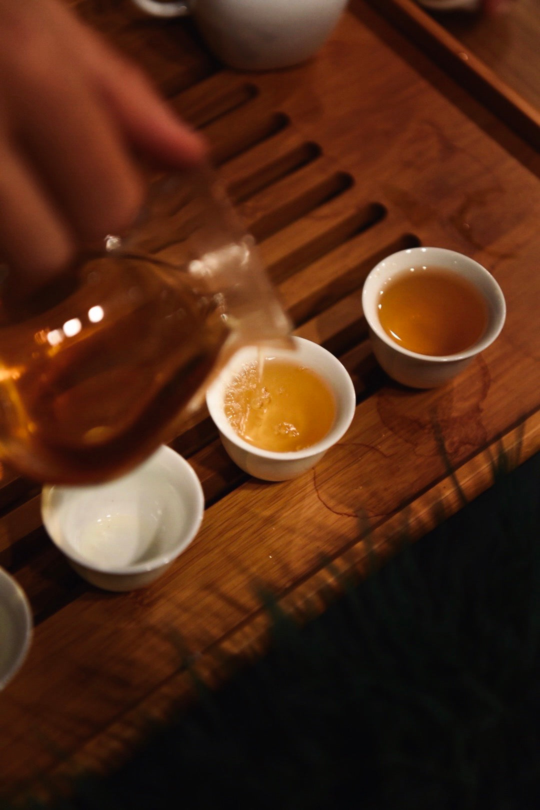 Gaba Milky Oolong (Jin Xuan) 佳葉龍茶（金萱）